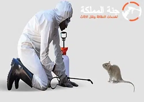 شركة مكافحة الفئران بالرياض 0530242929