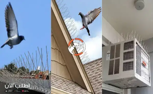 شركة تركيب طارد الحمام بالخرج