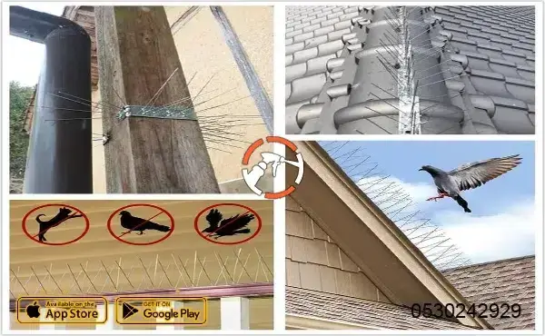 شركة تركيب طارد الحمام بالرياض