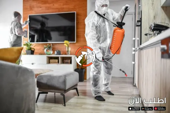 افضل شركة مكافحة حشرات حي الشفا