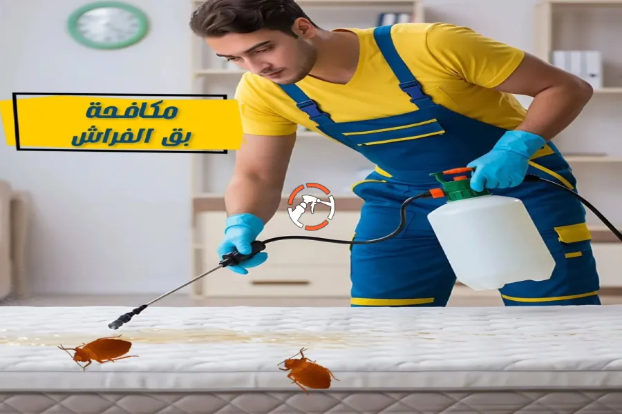 شركة مكافحة حشرات بالخرج