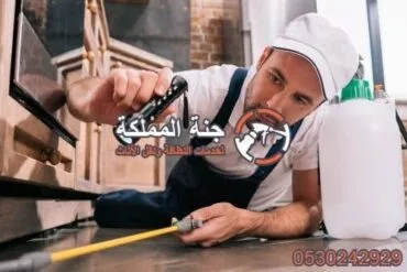 شركة مكافحة حشرات بالخرج 0530242929