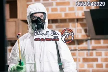شركة مكافحة حشرات بالدمام رش مبيدات