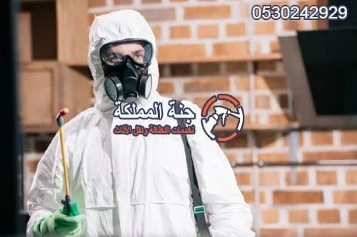شركة مكافحة حشرات بالدمام