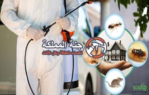 مكافحة حشرات غرب الرياض