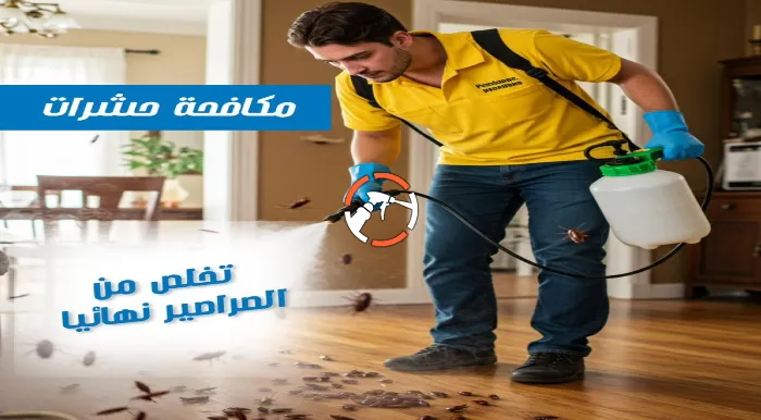 شركة مكافحة حشرات بالقطيف