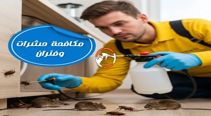 افضل شركة مكافحة حشرات بالقطيف