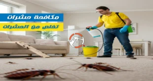 شركة رش مبيدات الرياض والخدمات التي تقدمها الشركة