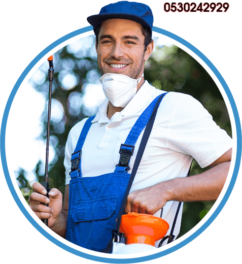 شركة مكافحة الحشرات شرق الرياض