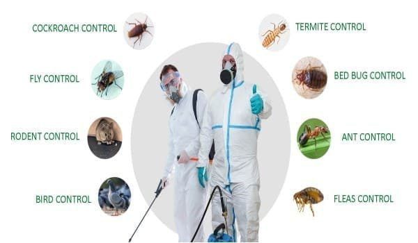 شركة مكافحة الحشرات والقوارض