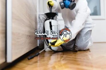 افضل شركة مكافحة حشرات شرق الرياض 0530242929