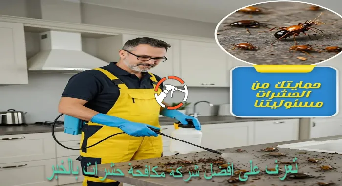 تعرف على أفضل شركة مكافحة حشرات بالخبر