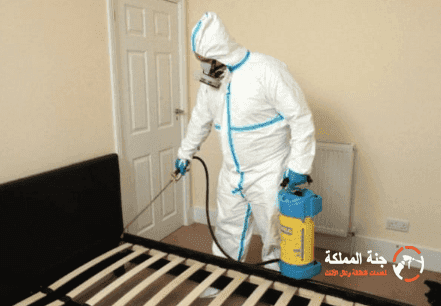 أفضل شركة رش مبيدات الرياض