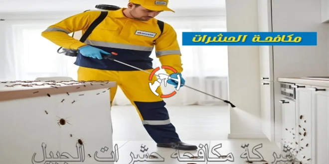 شركة مكافحة حشرات الجبيل