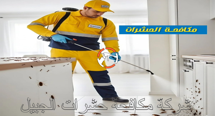 شركة مكافحة حشرات الجبيل