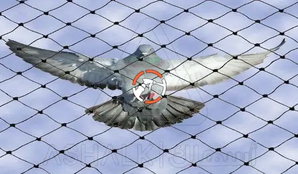 شركة مكافحة الحمام بالرياض 0530242929 مكافحة الحمام بالرياض