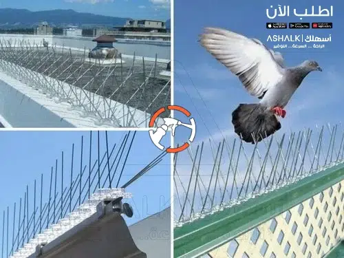 شركة مكافحة الحمام