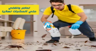 شركة مكافحه حشرات بجازان