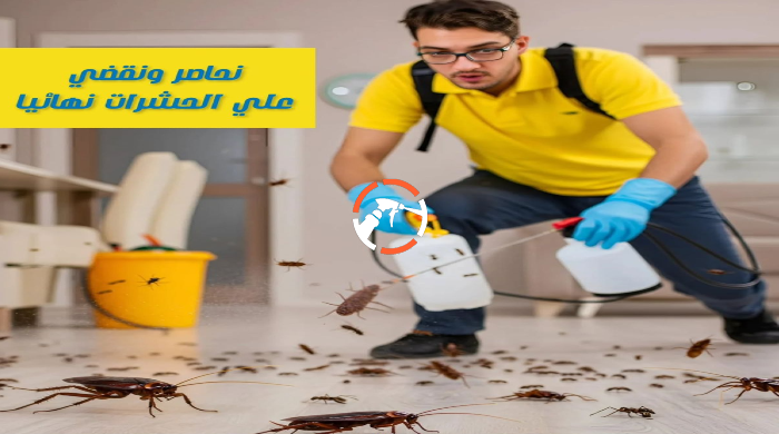 شركة مكافحة حشرات بجازان