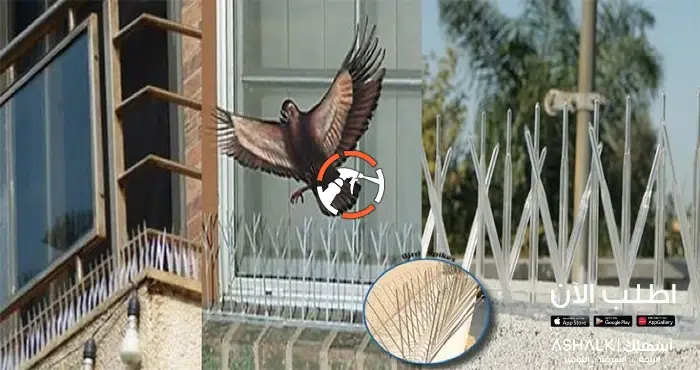 شركة تركيب طارد الحمام بالخرج اتصل بنا 0530242929 شركة تركيب طارد الحمام بالخرج