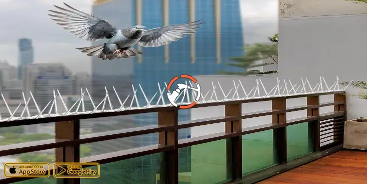 شركة تركيب طارد الحمام بالرياض 0530242929 شركة تركيب طارد حمام بالرياض