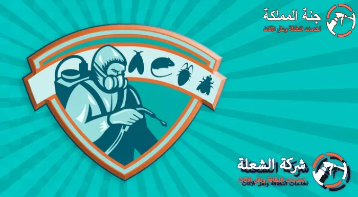 افضل شركة مكافحة حشرات بالدمام