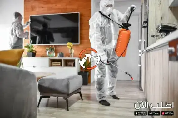 افضل شركة مكافحة حشرات حي الشفا