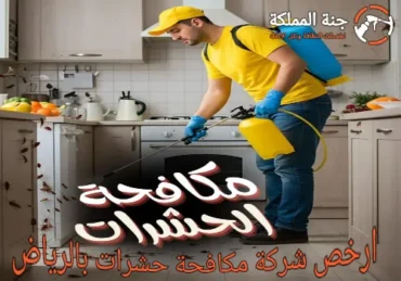 ارخص شركة مكافحة حشرات بالرياض رش مبيدات بالرياض